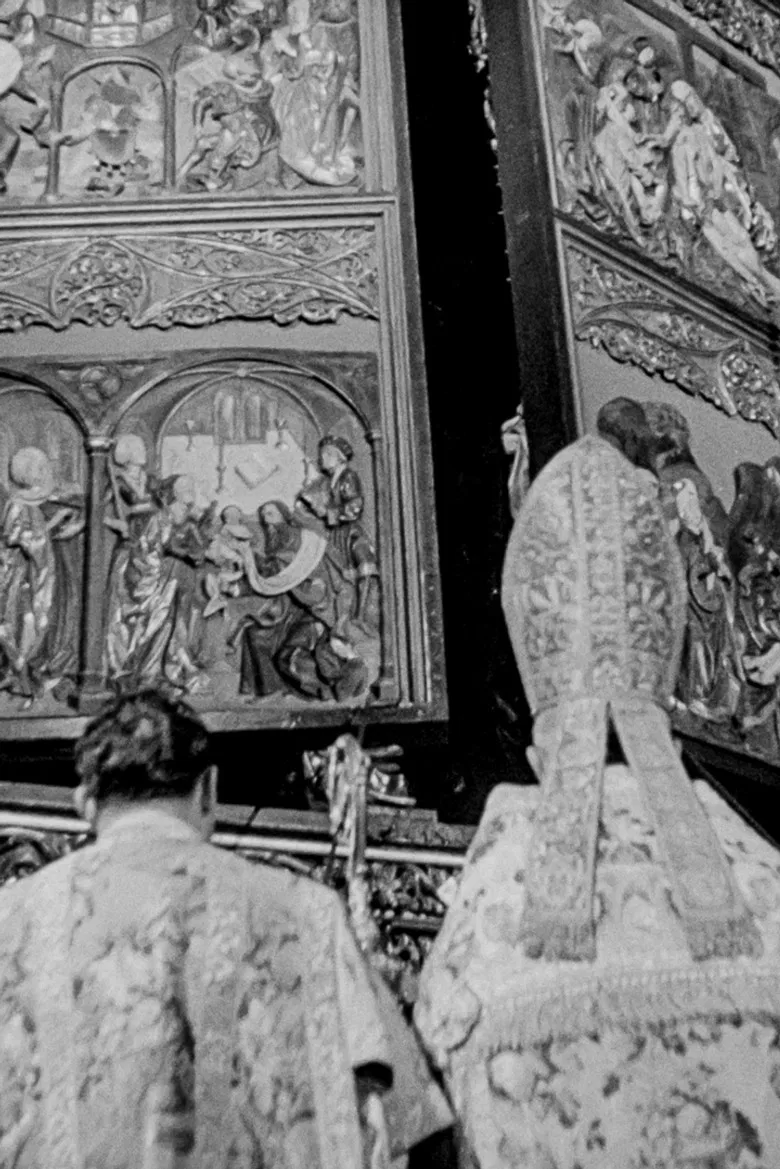 The Story of St. Mary's Altar poster background