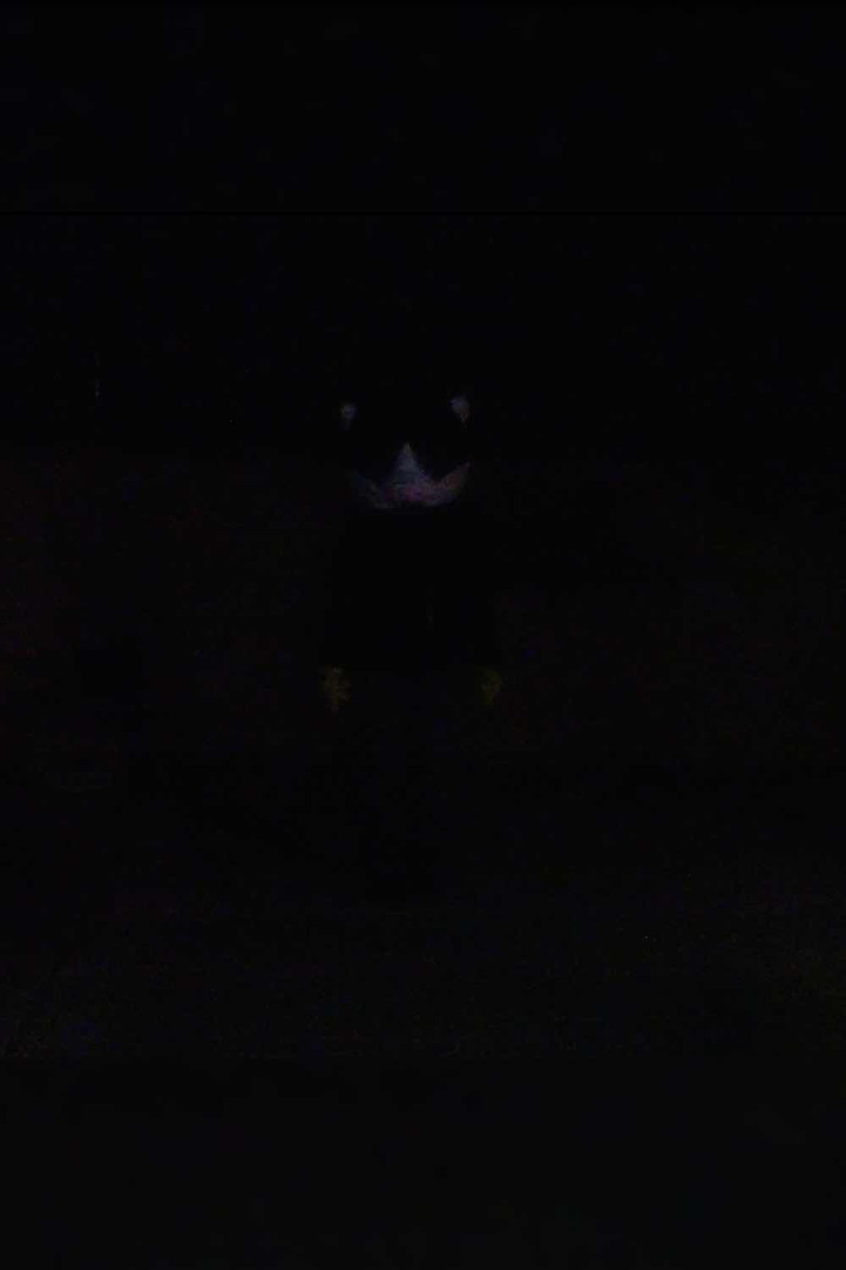 Pam poster background