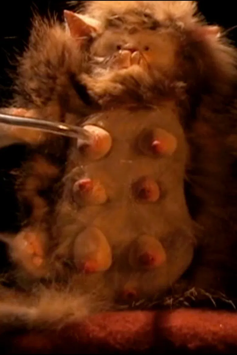 The Reproduction Line poster background