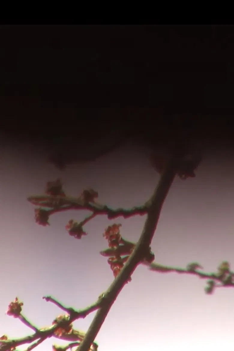 Nuestras Cartas poster background