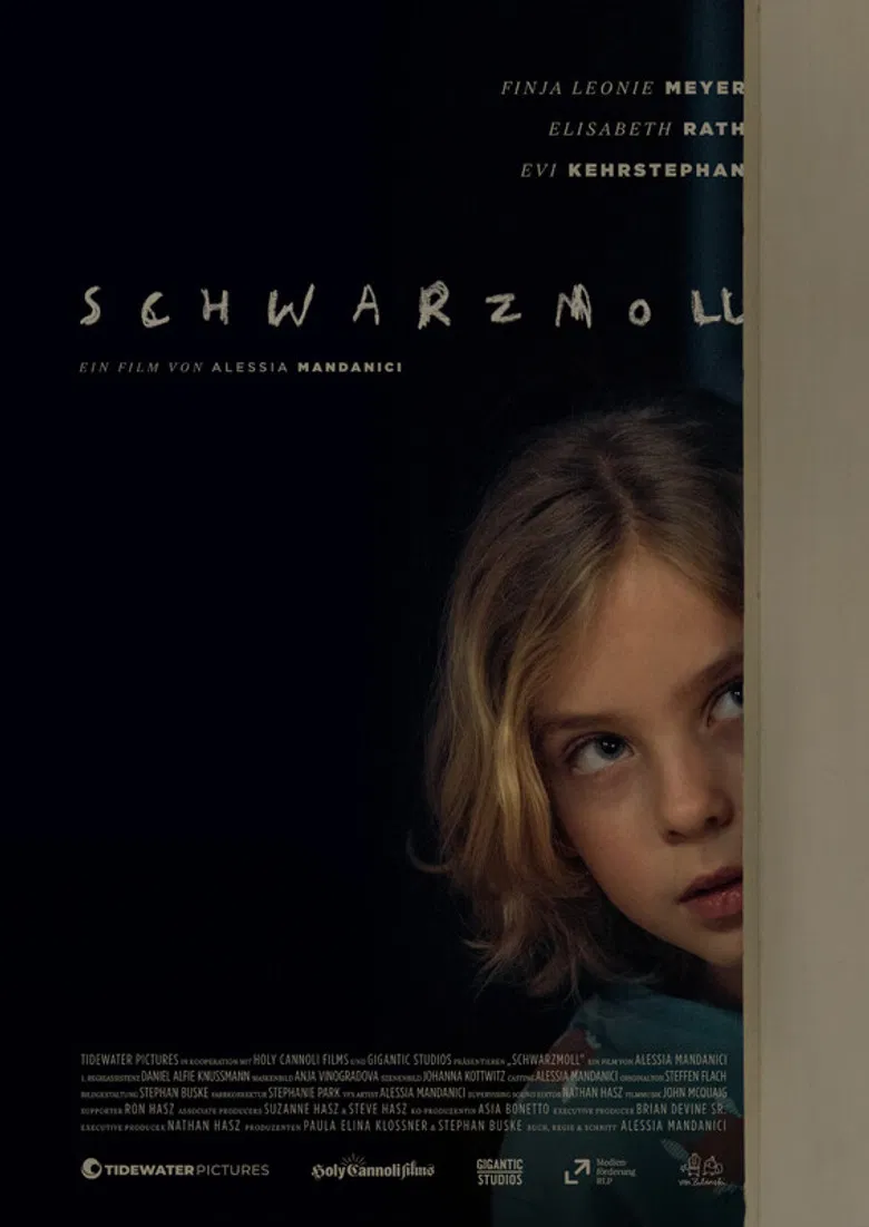Schwarzmoll poster background