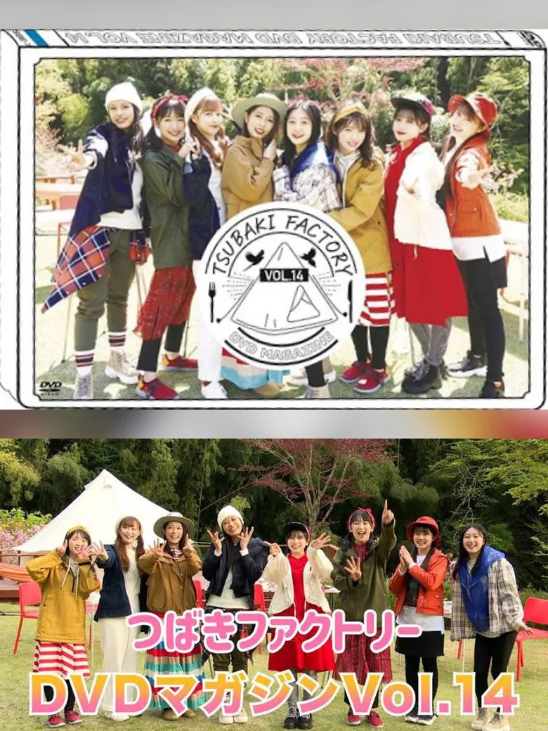 Tsubaki Factory DVD Magazine Vol.14 poster background