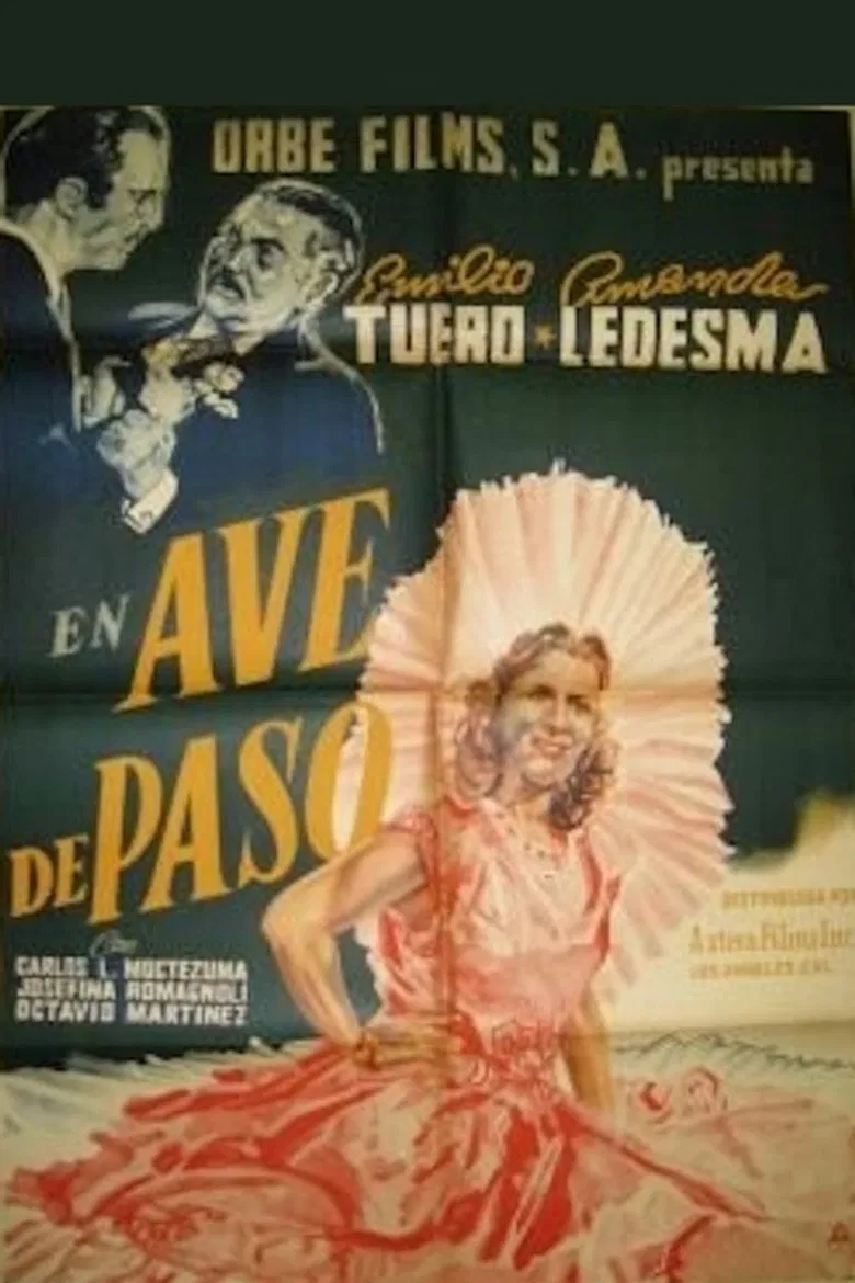 Ave de paso poster background