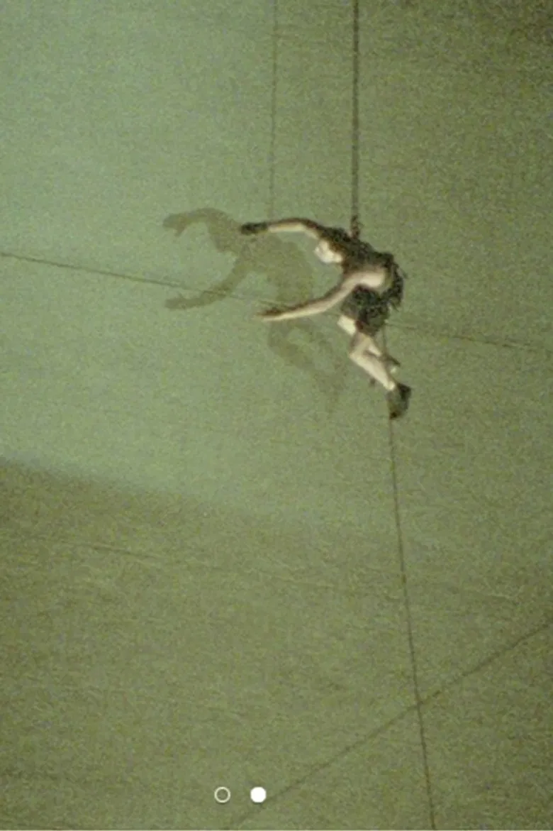 Pichón en el Obelisco poster background