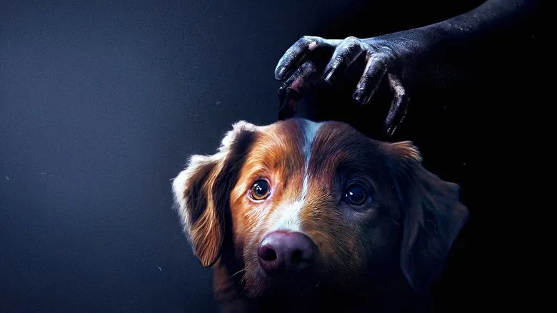 Indy sitting alone in a sunlit room, looking sad