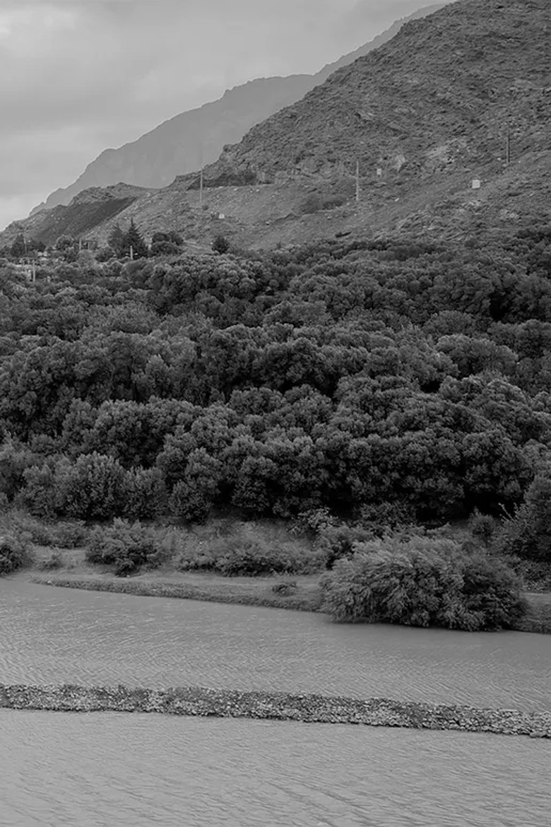 yet another leap year poster background