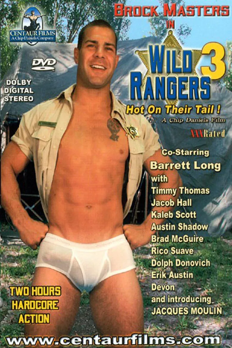 Wild Rangers 3: Hot On Their Tail! poster background