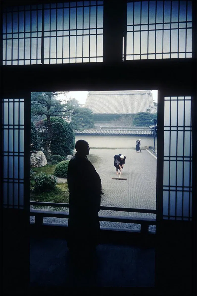 In the World of Zen poster background