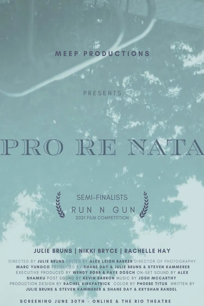 Pro Re Nata poster background
