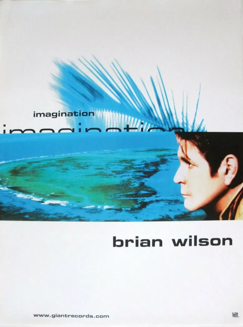 Brian Wilson’s Imagination poster background