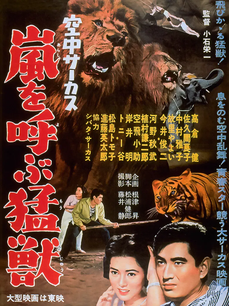 Midair Circus poster background