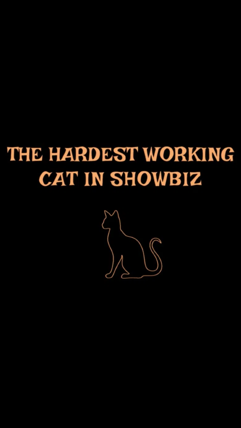 The Hardest Working Cat in Showbiz poster background