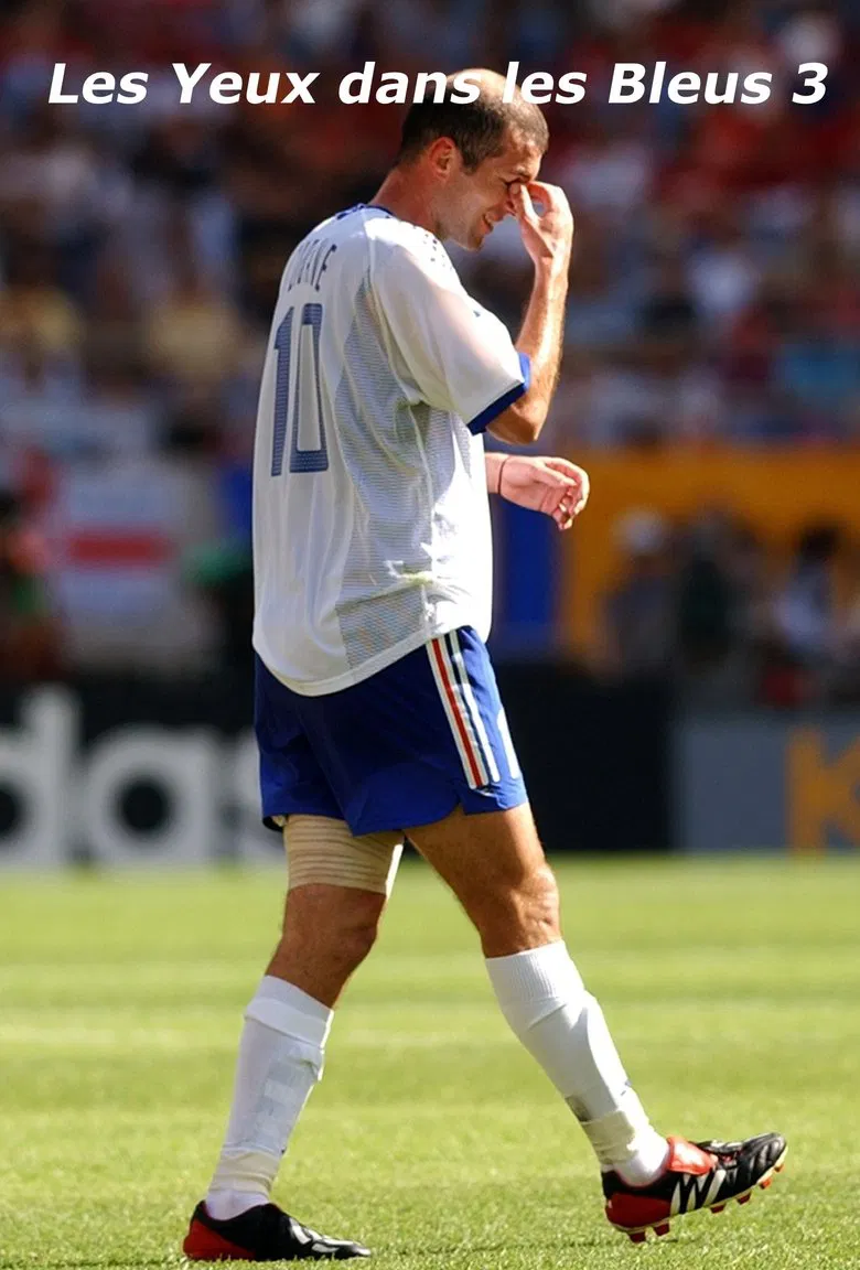 Les Yeux dans les Bleus 3 : La Désillusion poster background