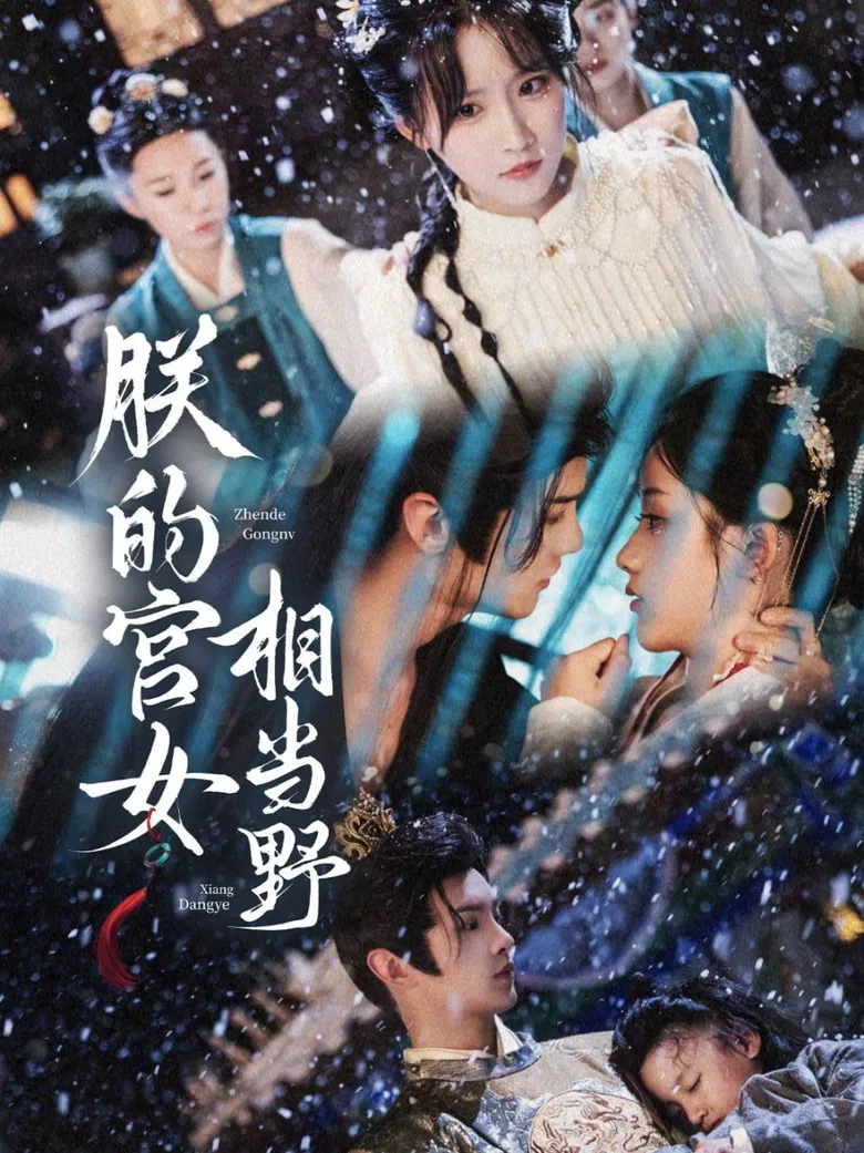 朕的宫女相当野 poster background