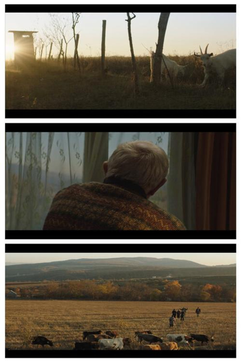 Don’t Leave Home! poster background