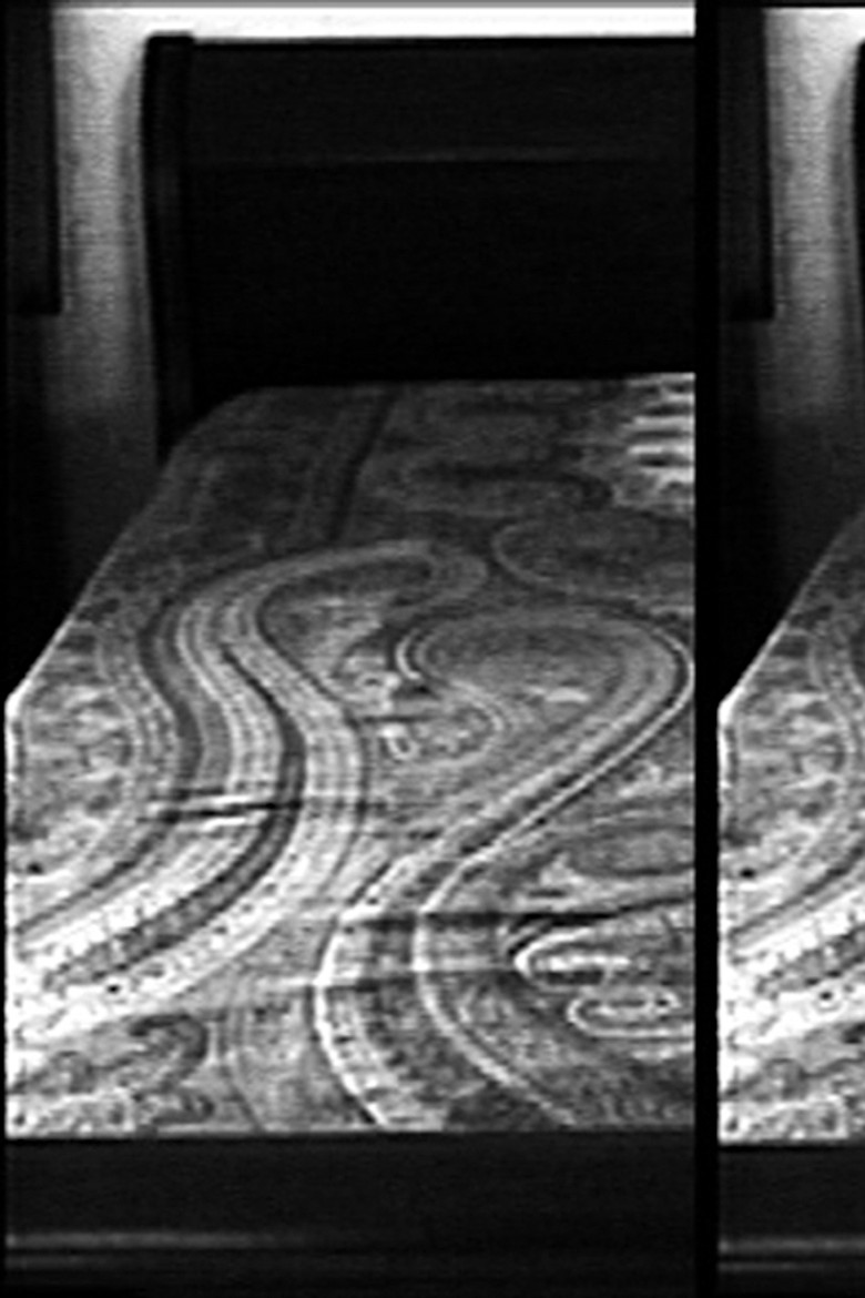 The Wren poster background