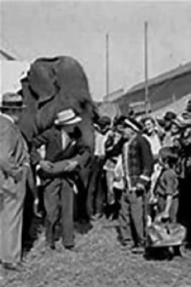 The Great Love poster background