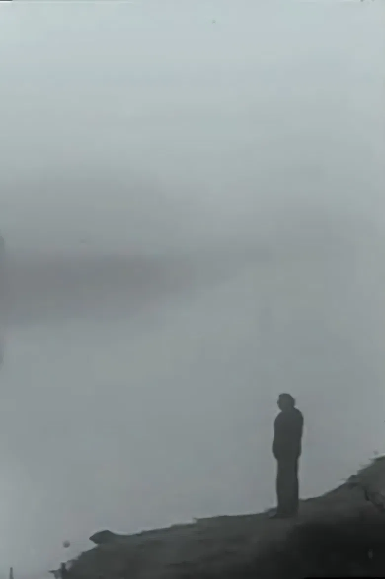 Strawberry Fields poster background