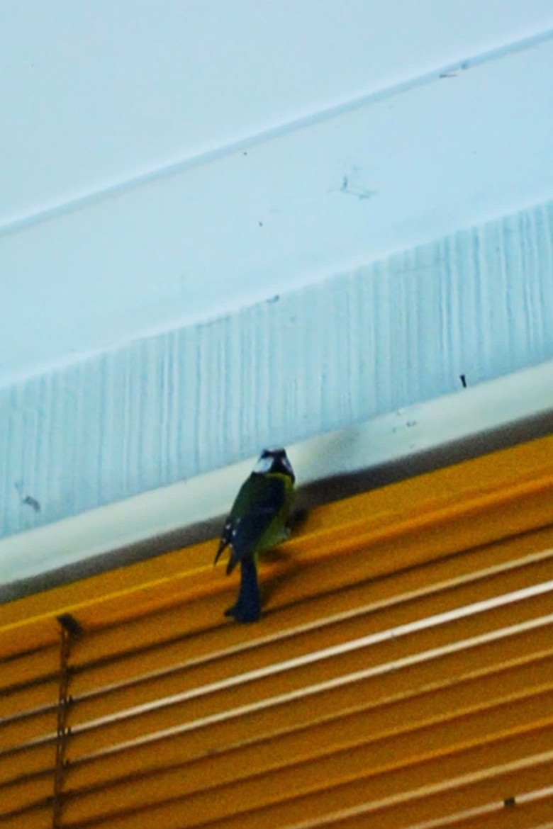 rare vines poster background