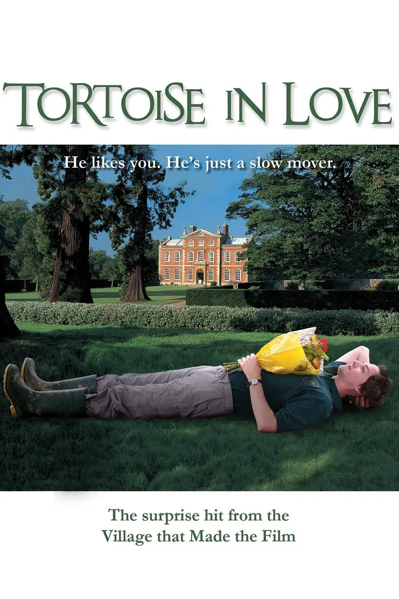 Tortoise in Love poster background