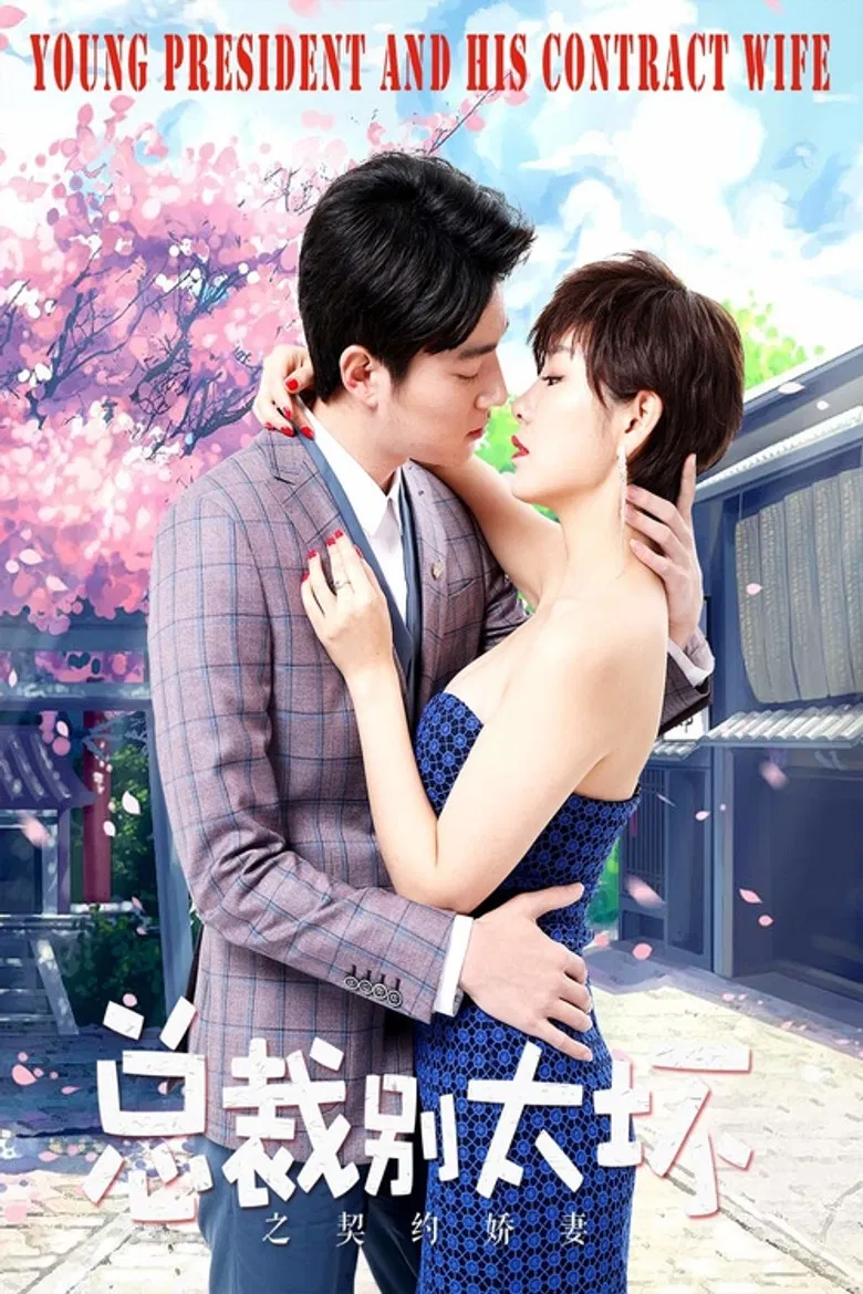Young President and His Contract Wife poster background