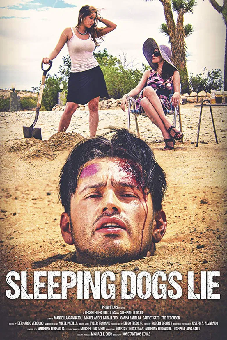 Sleeping Dogs Lie poster background