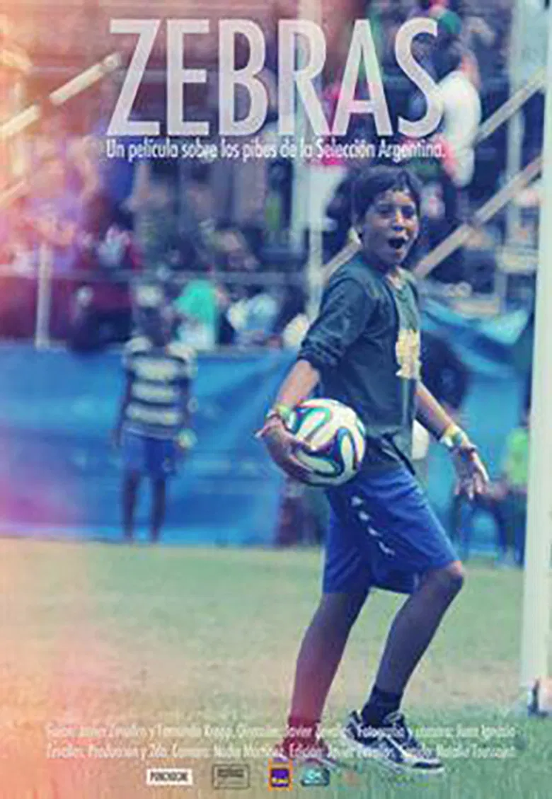 Zebras poster background