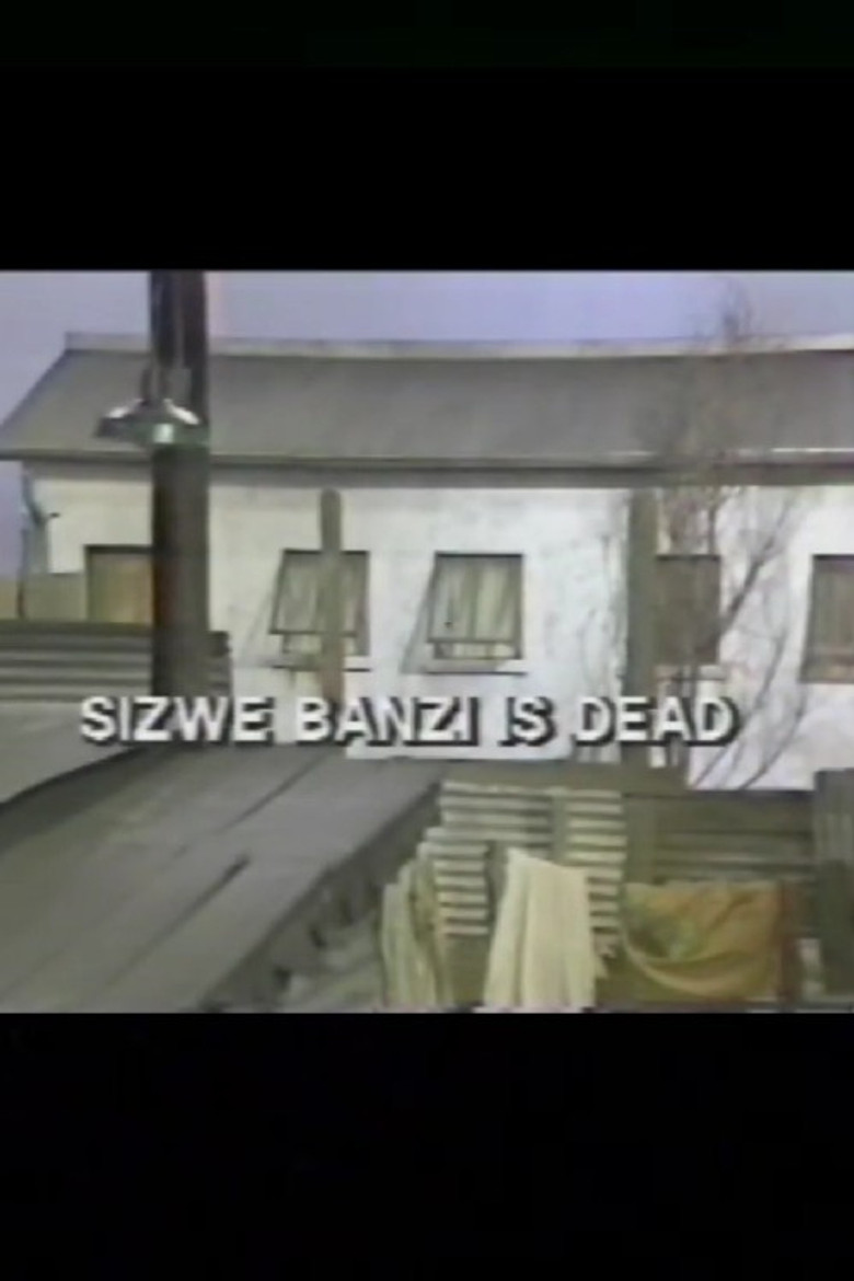 Sizwe Bansi is Dead poster background