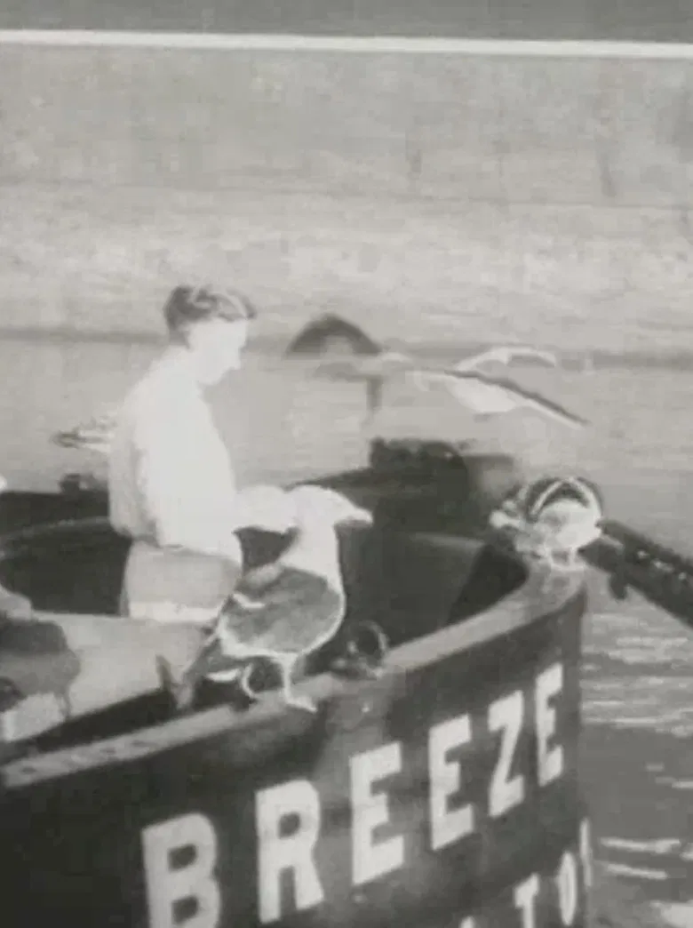 The Coaster poster background