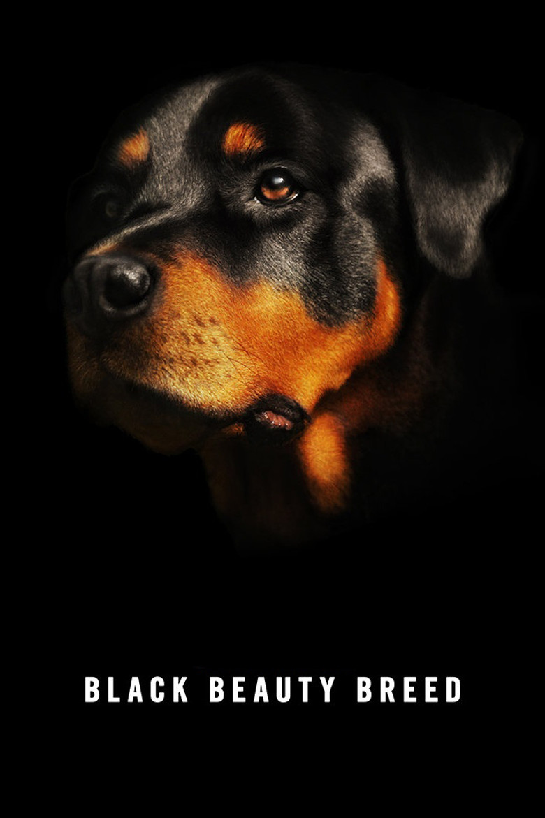 Black Beauty Breed poster background