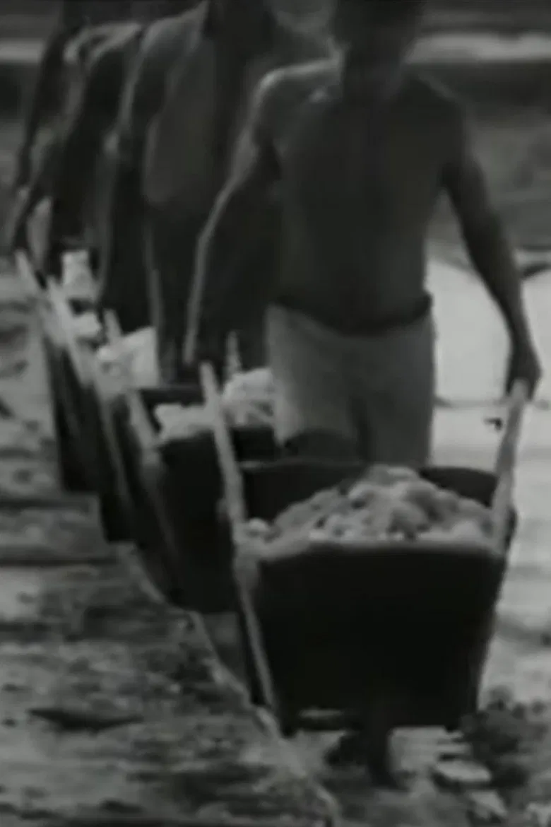 Salt poster background