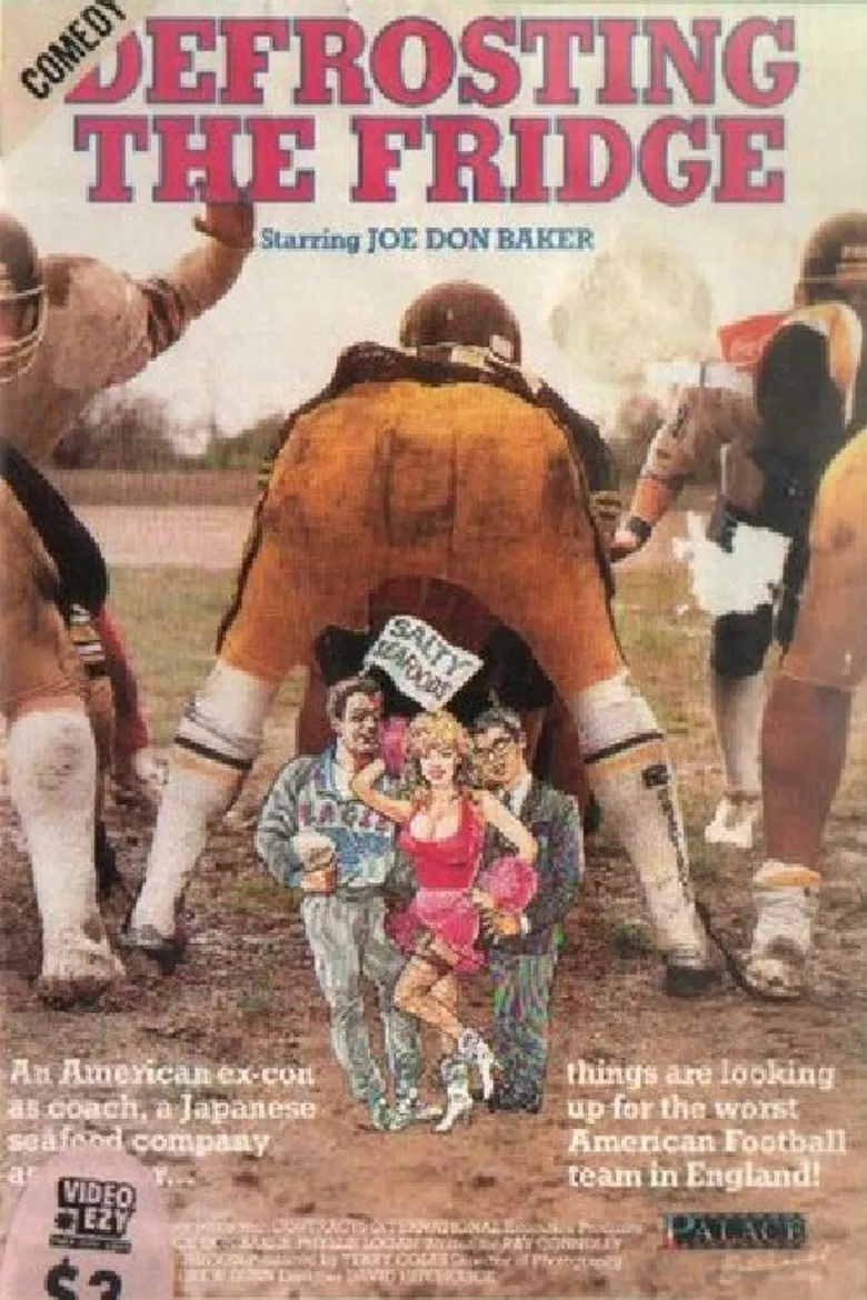 Defrosting the Fridge poster background