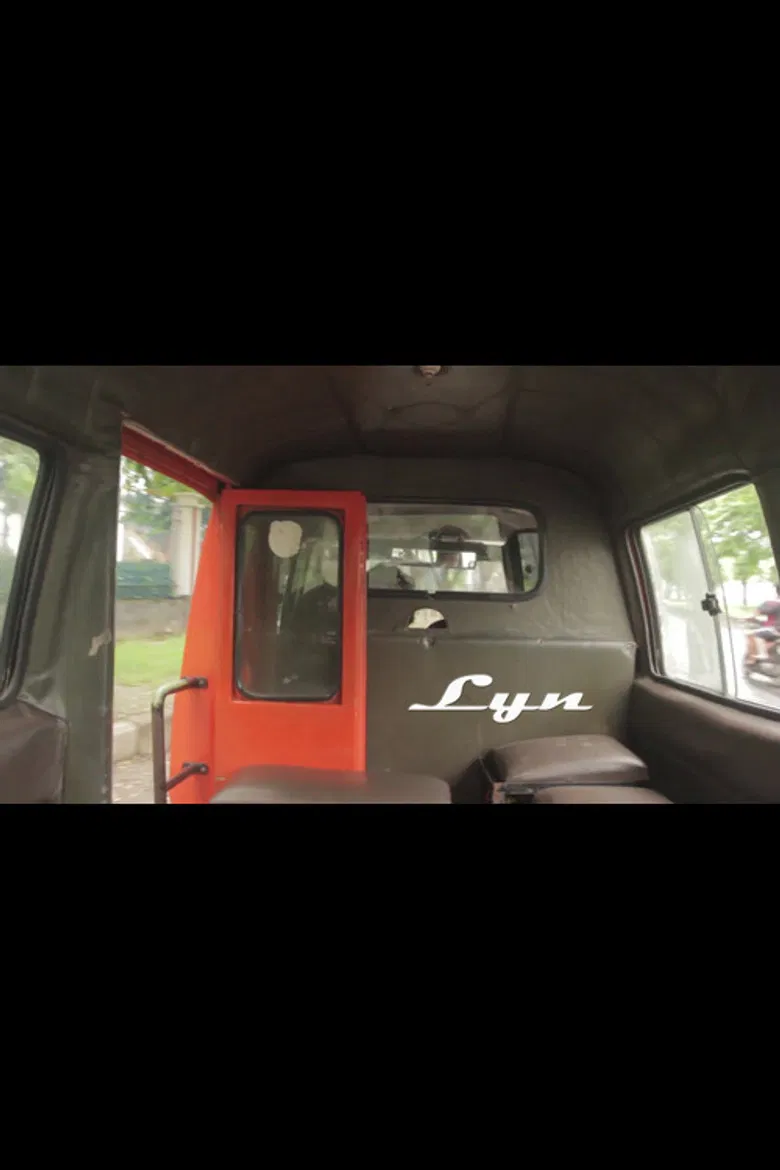 Lyn poster background