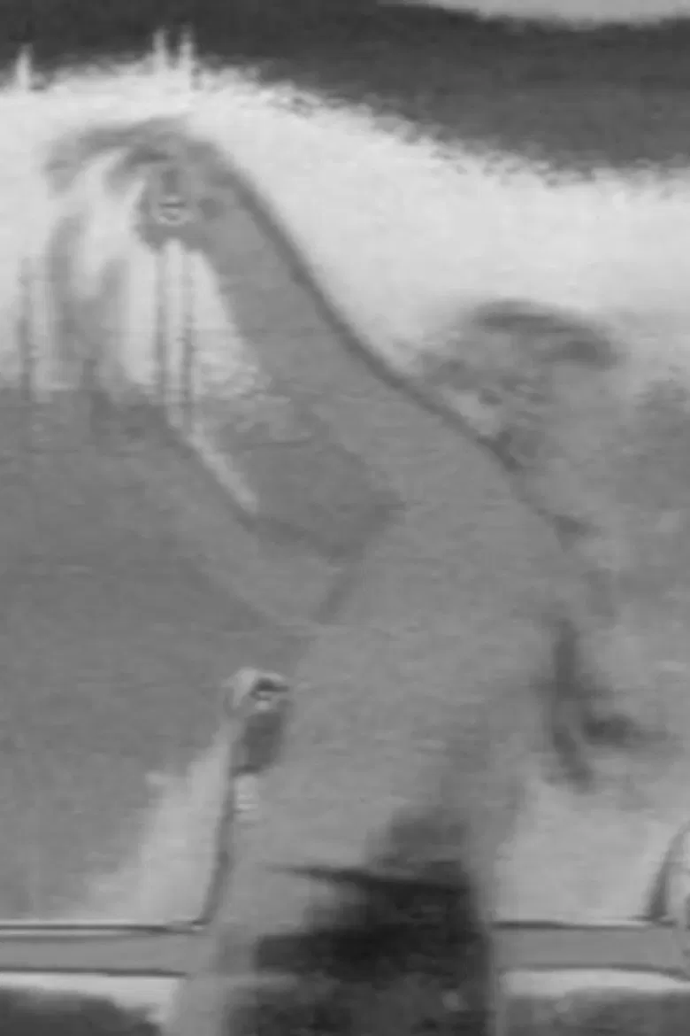 Nino poster background