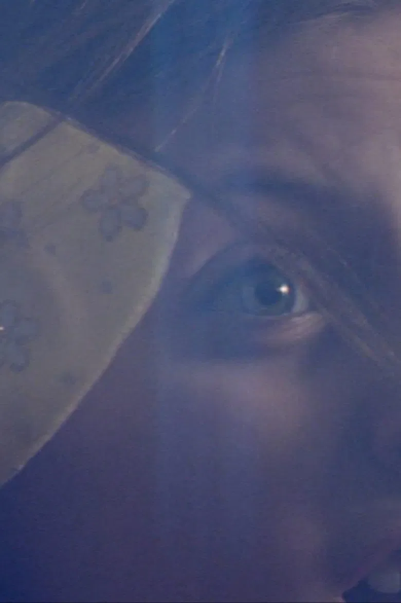 The Music Lesson poster background