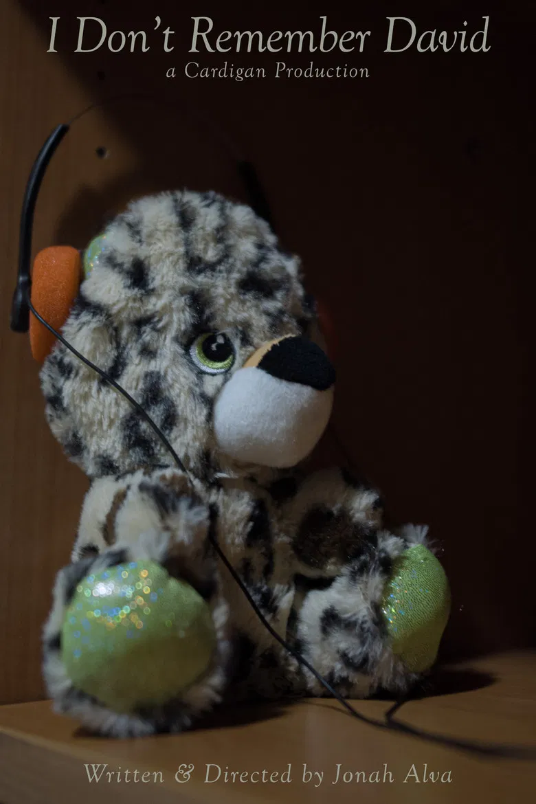 I Don’t Remember David poster background