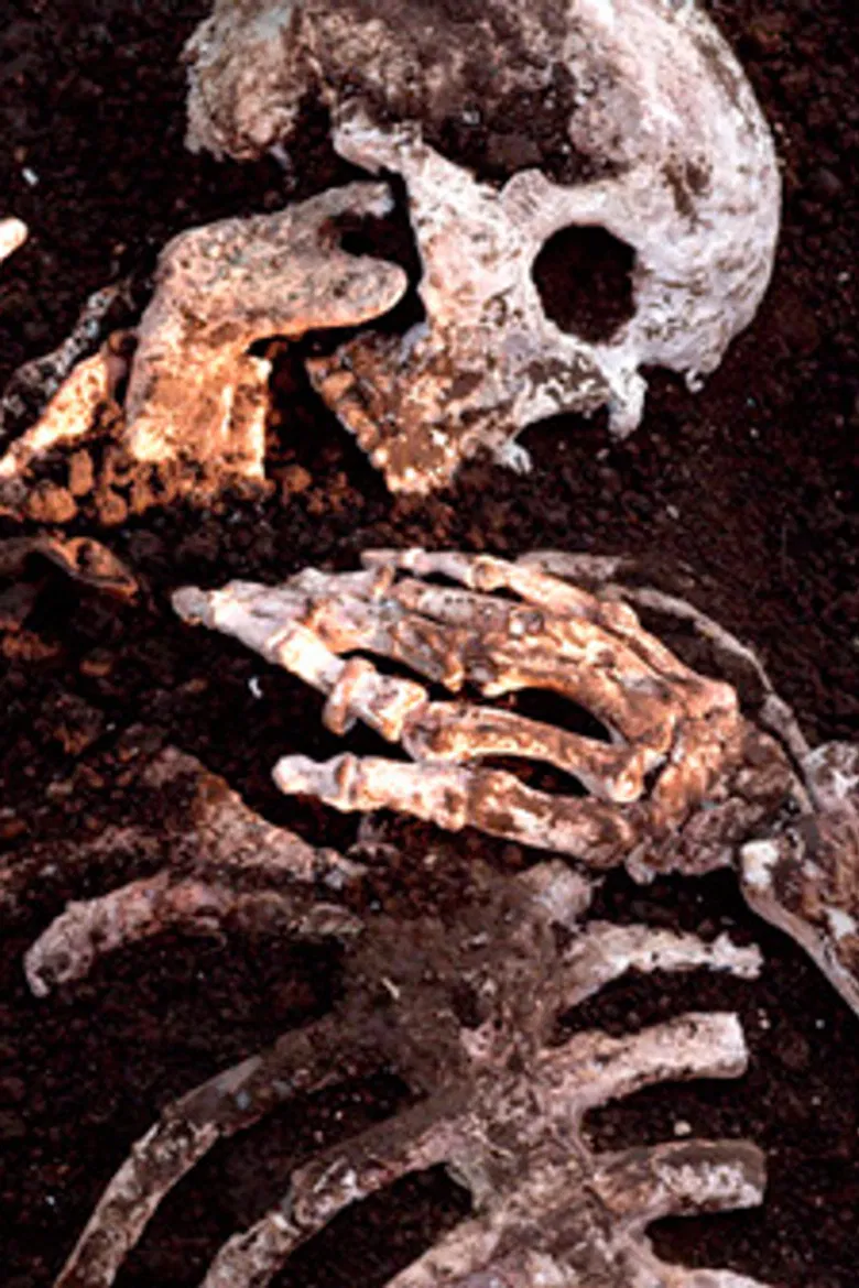 Munashiidake poster background