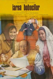 Iarna bobocilor poster background