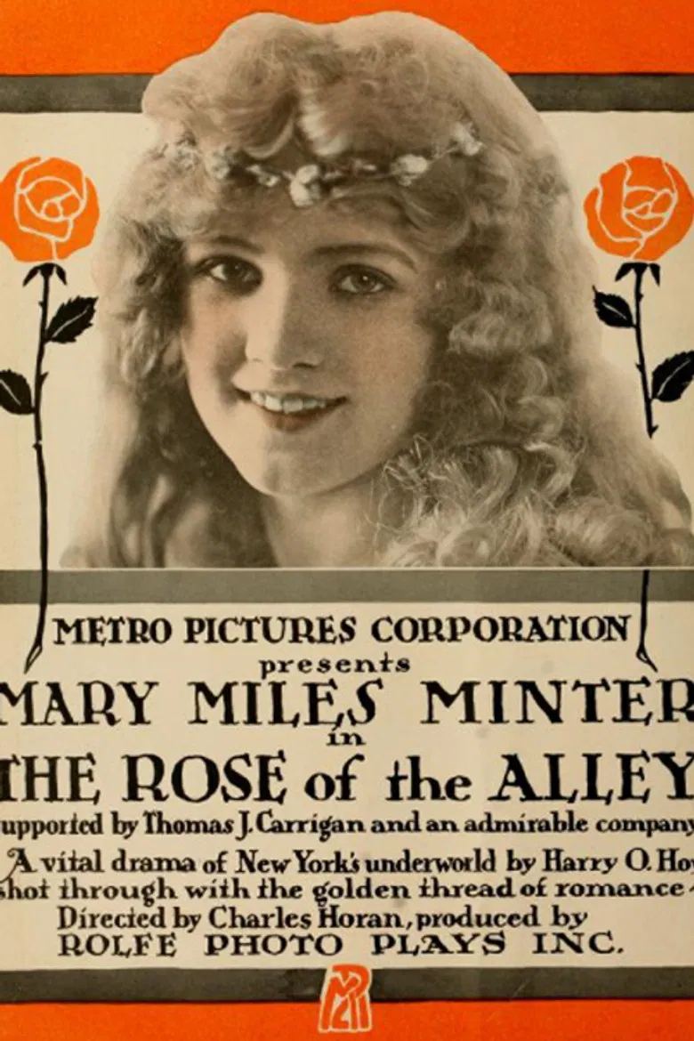 Rose of the Alley poster background