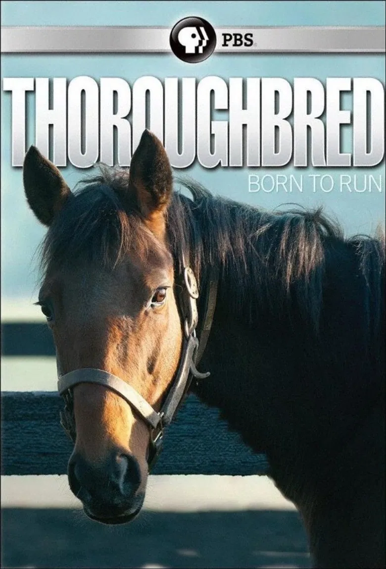 Thoroughbred: Born to Run poster background