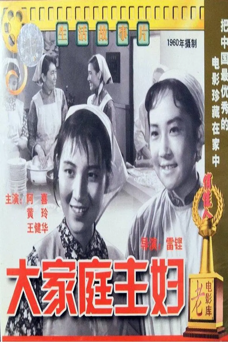 大家庭主妇 poster background