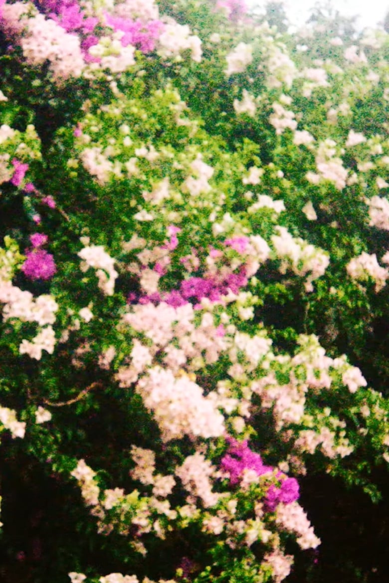 S+I poster background