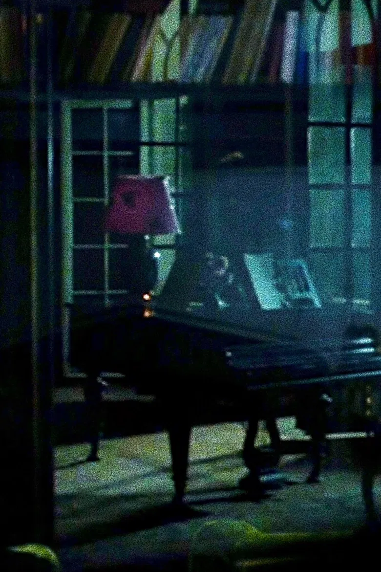 A House With Many Voices poster background