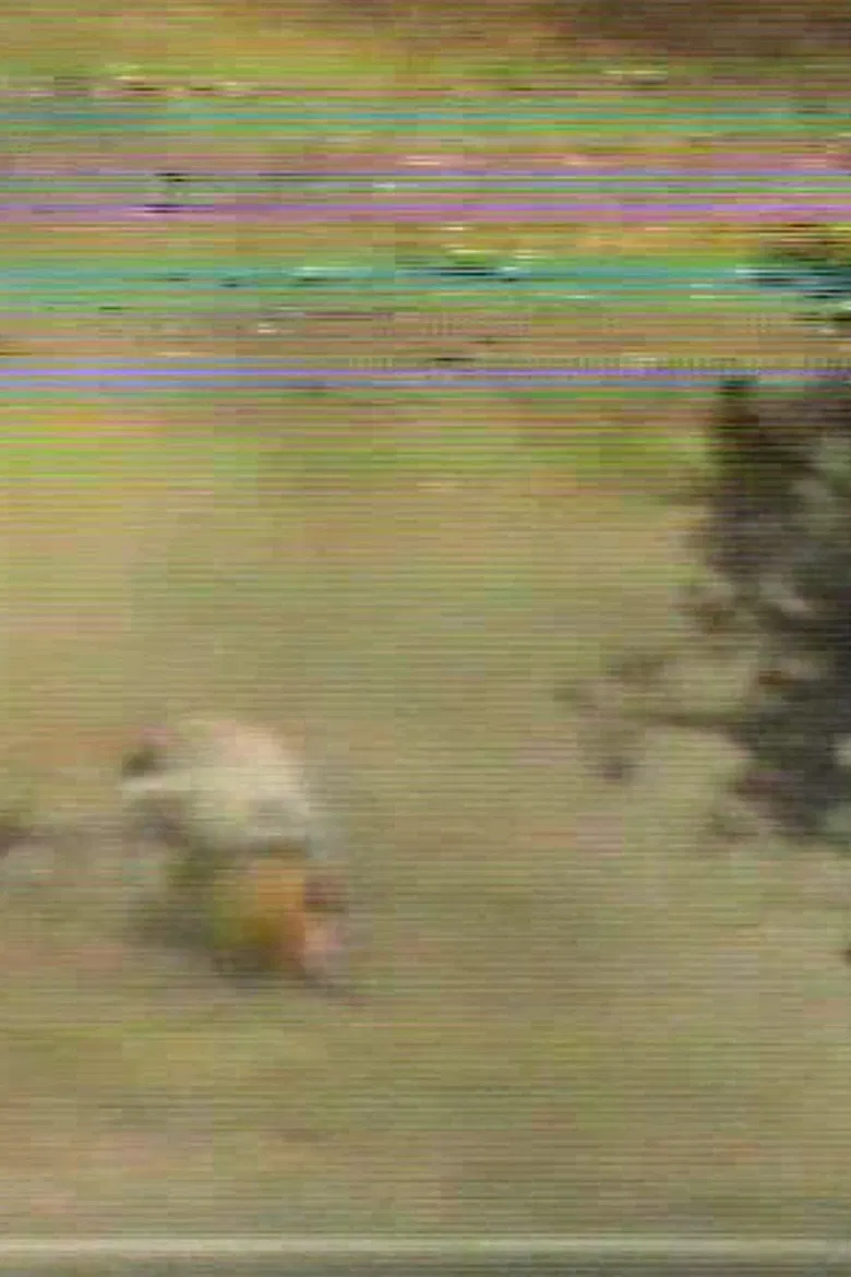 Made for Denise poster background