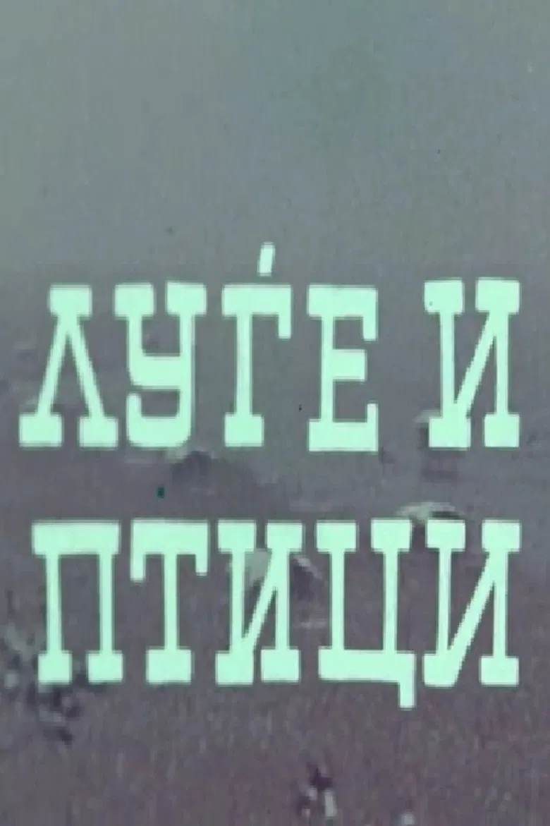 People and Birds poster background