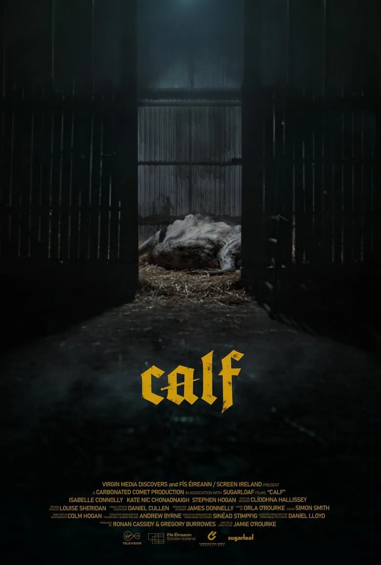 Calf poster background
