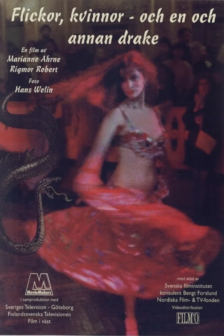 Flickor, kvinnor och en och annan drake poster background