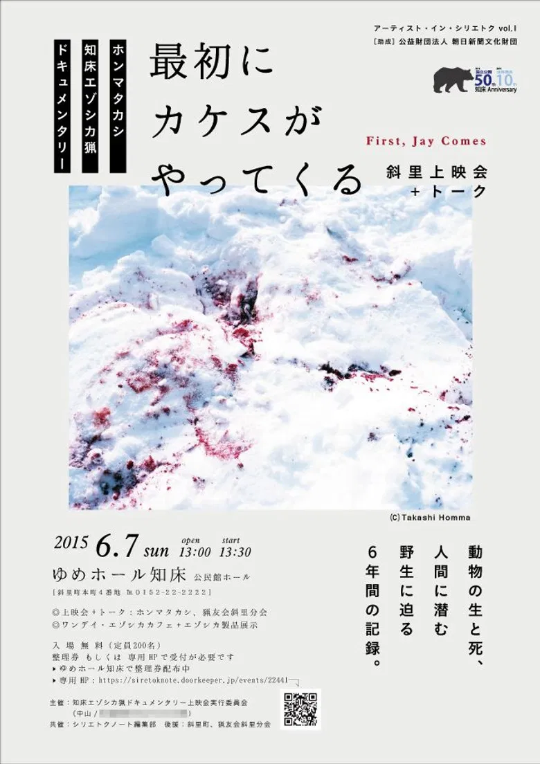 First, Jay Comes poster background