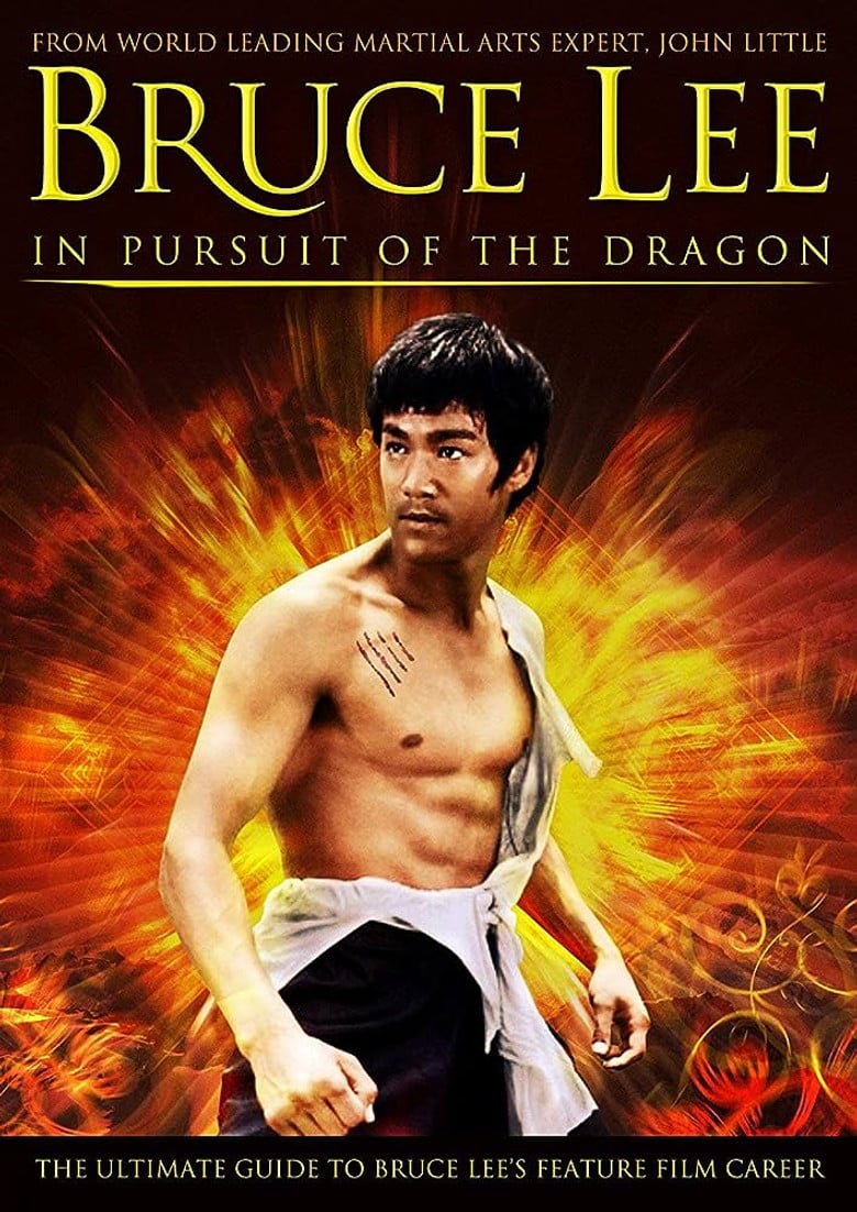 Bruce Lee: In Pursuit of the Dragon poster background
