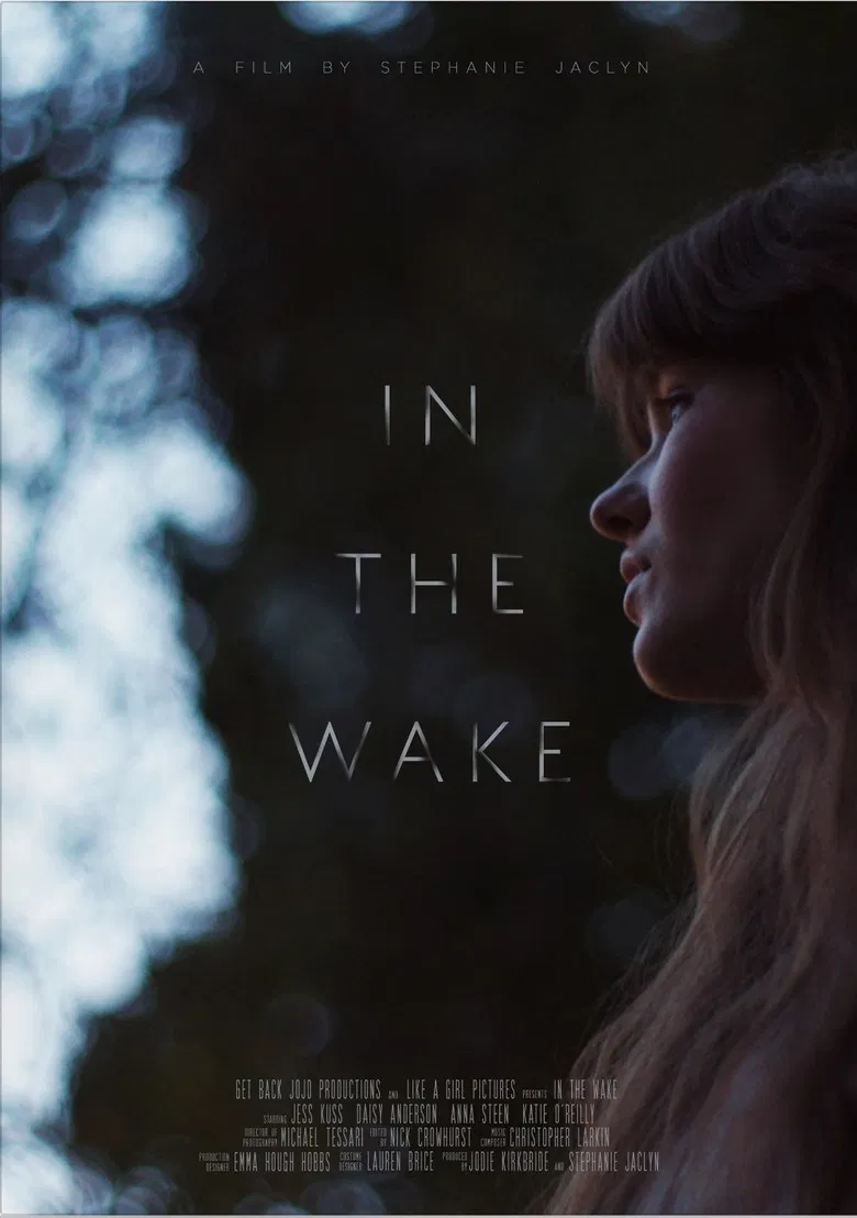 In the Wake poster background